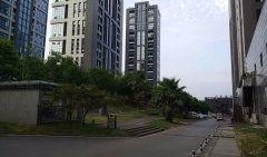 重庆花园城市最新爆料,揭秘未来宜居新地标