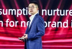 张大奕蒋凡最新爆料,揭秘电商巨头内部恩怨纠葛”