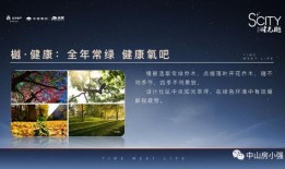 桃园日记最新爆料文,揭秘幕后真相，独家解读事件始末